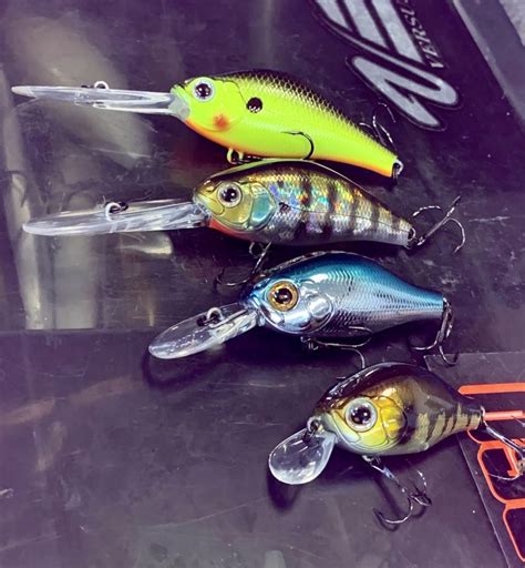 La pêche au CrankBait Ultimate Fishing