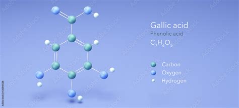 Gallic Acid Molecular Structures Phenolic Acid 3d Model Structural Chemical Formula And