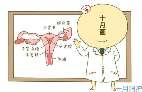 15种最常见妇科病的自查方法，掌握了可能会救命