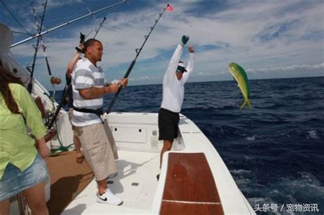 男子出海釣魚意外釣到大魚，起釣時讓在場的所有人驚訝了 每日頭條