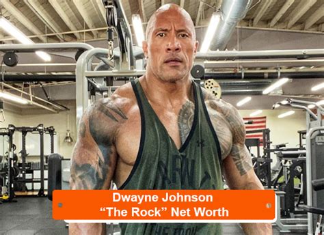 Dwayne Johnsons Net Worth The Rock Earning Wiki Age Bio