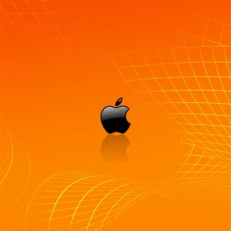 Orange Phone Wallpaper Wallpapersafari