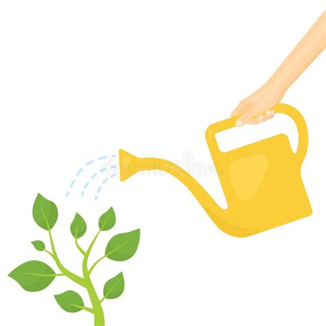 Hand Watering Plant Stock Vector Illustration Of Growth 243601540