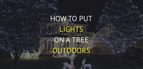 how to put lights on a tree outdoors