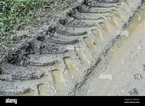 Tyre Tracks Or Tire Marks Of A Heavy Duty Tractor On A Muddy And Wet