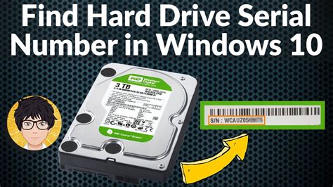 Find Hard Drive Serial Number In Windows 10 How To 💻⚙️🐞 Youtube