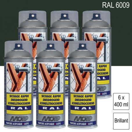 Lot de 6 Peintures aérosol RAL 6009 Vert sapin brillant 400ml MOTIP