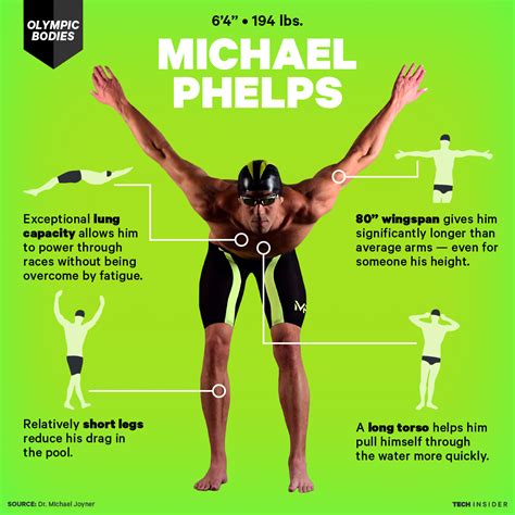 The Perfect Body Type For Cycling Swimming Marathon And Gymnastics