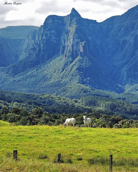 Serra catarinense o que fazer nesse cenário de tirar o fôlego