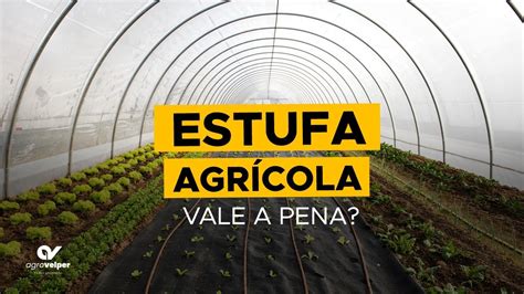 Cultivo Protegido Em Estufas Agr Colas Vale A Pena Agrovelper