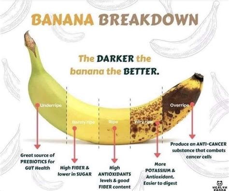 Banana Info : r/coolguides