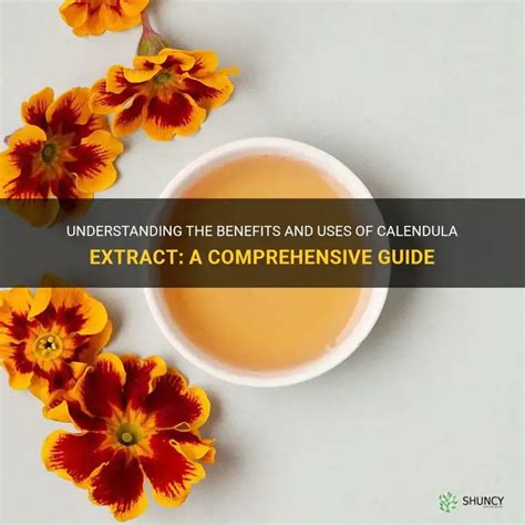 Understanding The Benefits And Uses Of Calendula Extract A Comprehensive Guide Shuncy