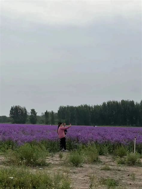 赏花、踏青、游园、看剧！“五一”假期衡水文旅市场强力升温澎湃号·政务澎湃新闻 The Paper