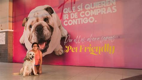 Centro Comercial Plaza Del Sol Permitirá El Ingreso De Mascotas