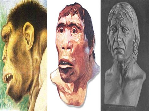 Mga Teoryang Pinagmulan Ng Pilipino