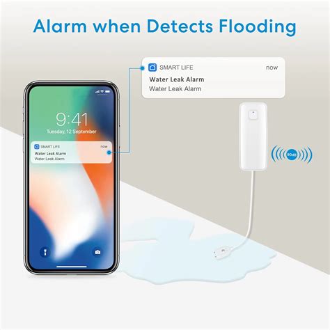 Tuya D Tecteur De Fuite D Eau Wifi S Curit Intelligente Test Et Avis