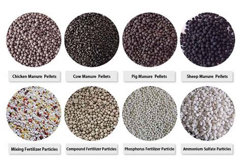 Fertilizer Granulation Process A Comprehensive Guide