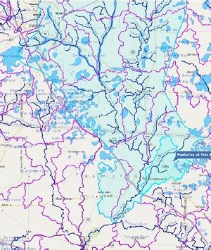 Little Alapaha River | WWALS Watershed Coalition (WWALS) is Suwannee RIVERKEEPER®