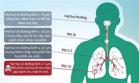 Hậu Quả Của Ô Nhiễm Môi Trường Đối Với Sức Khỏe Và Đời Sống