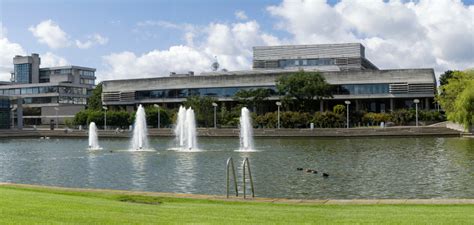ucd finance office