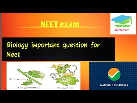 Nta Abhyas App I Solution Biology Neet The Boyz Vidyaapeeth