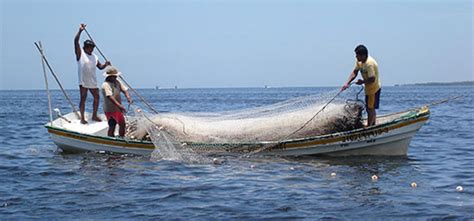 Parlatino Primera Ley De Pesca Artesanal Del Mundo Am990 Formosa