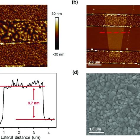 A Surface Morphology Of Pentacene Film B Surface Morphology And