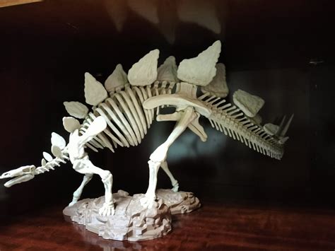 Stegosaurus Skeleton Imprimable En 3d • Fabriqué Avec Une Imprimante 3d