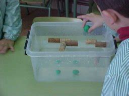 Experimentos En Educaci N Primaria E Infantil Flota O No Flota