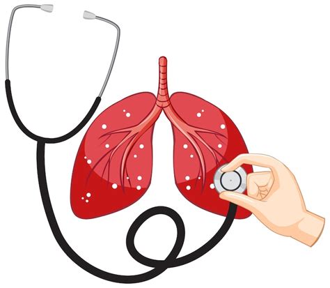 Premium Vector Stethoscope And Lungs On White Background