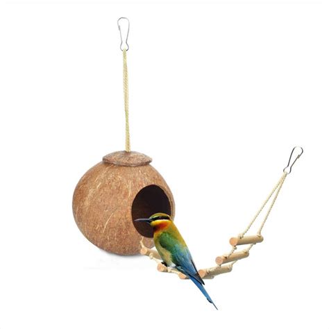 Buy ANTOLE Natural Coconut Shell Bird Nest Bird Feeder Parrot Swing Toy