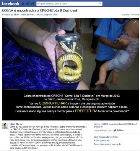 G1 Fotógrafa descobre invasão de cobra em creche da filha em rede