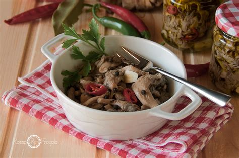 FUNGHI SOTT OLIO Procedimento E Conservazione