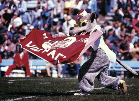 NCSU mascot Mr. Wuf cheers on the NC State Wolfpack (1983) | Nc state university, Nc state, Nc ...