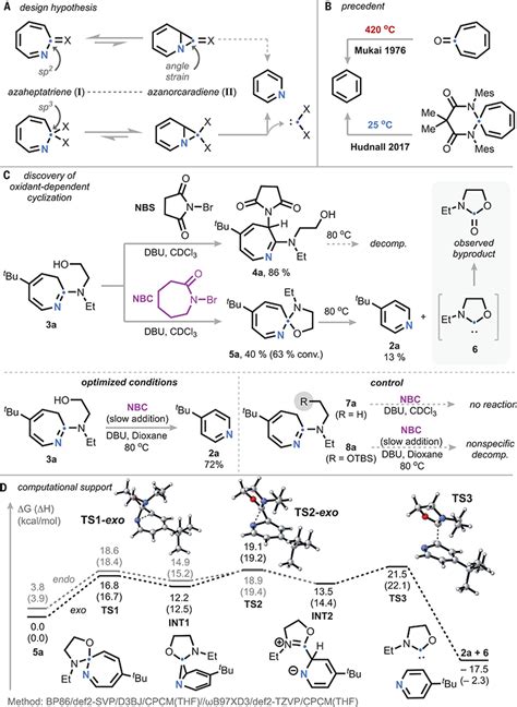 Aromatic Nitrogen Scanning By Ipso Selective Nitrene Internalization Pmc