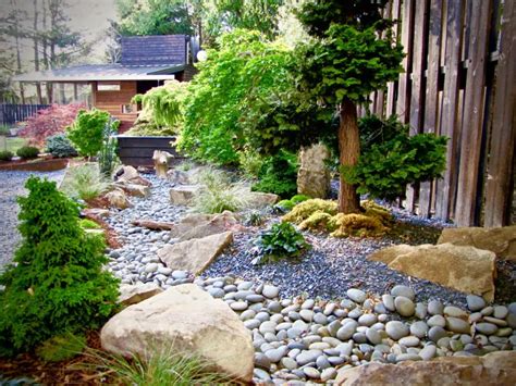 Modern Evergreen Trees Google Search In 2020 Japanese Garden Design