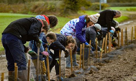 Chantier Participatif Plantation Darbres Et Arbustes Samedi 2