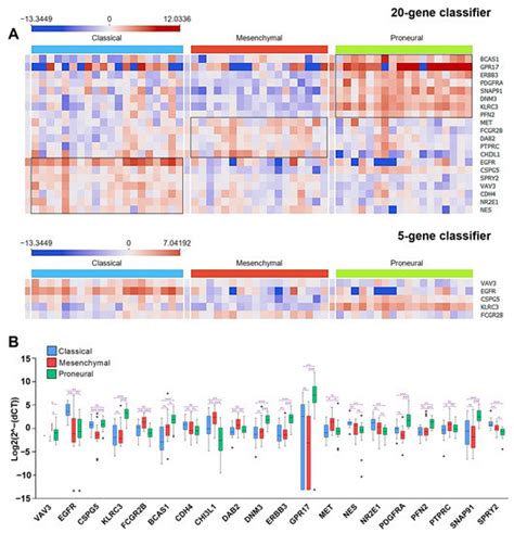 IJMS Free Full Text Glioblastoma Molecular Classification Tool