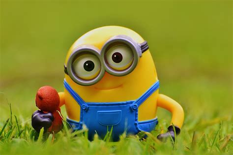 Gambar Kartun Minion Lucu Minion Keren Adzka