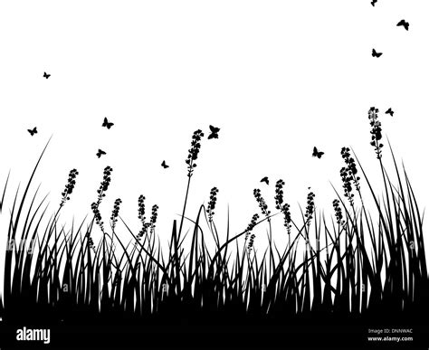 Vector Grass Silhouettes Background All Objects Are Separated Stock Vector Image And Art Alamy