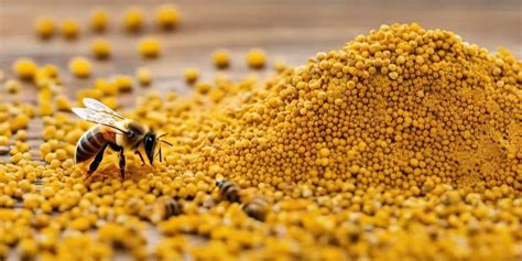 Polen De Abeja Y Salud Cardiovascular Un Aliado Natural