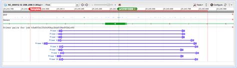 dna sequencing - Primer Design With Primer-BLAST - Biology Stack Exchange