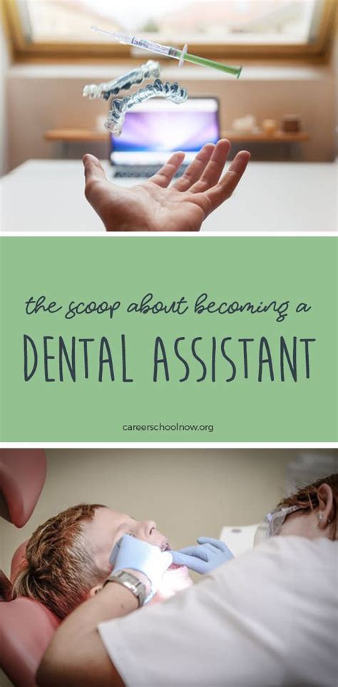 Dental Assistant Career Learn About Training Jobs And Salary Dental Assistant School Dental