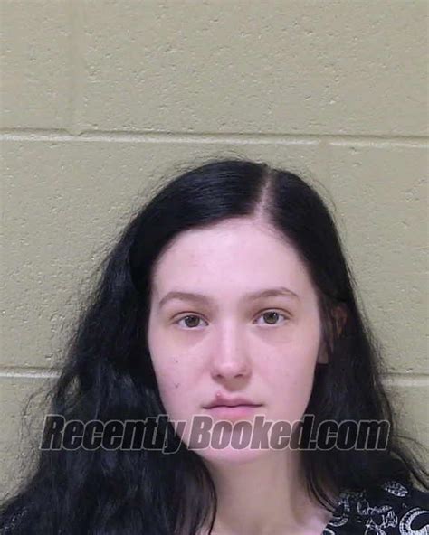 Recent Booking Mugshot For Hannah Lee Nelson In Delta County Michigan