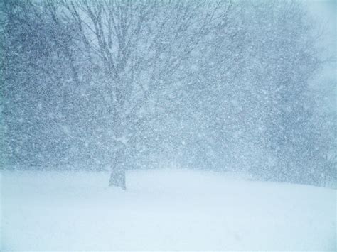 blizzard Free Photo Download | FreeImages