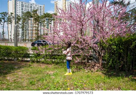 Suwonsi Gyeonggido Korea April Suwonsi Stock Photo