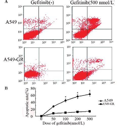 Figure 3 From Gefitinib Induces Lung Cancer Cell Autophagy And