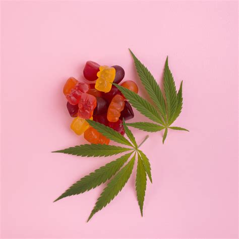 Tout Ce Quil Faut Savoir Sur Les Gummies Au Cbd Le Green Spot Cbd Shop