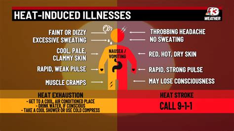 Heat Exhaustion Or Heat Stroke Know The Signs Of Heat Induced Illness