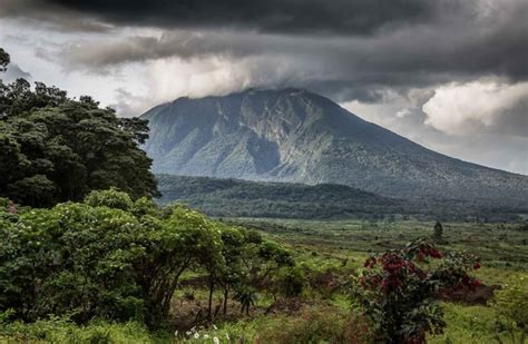 Volcanoes National Park Rwanda